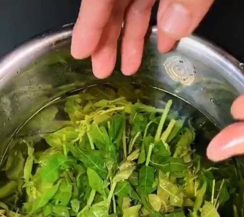 一碗汤暖胃又暖心，让你感受春天的味道（一碗汤暖胃又暖心，让你感受春天的味道）