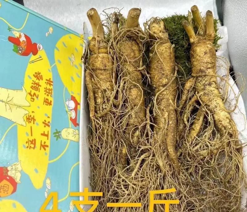 鲜参鸭汤，滋养养生的美味佳品（家中炖一锅，暖胃又养生）