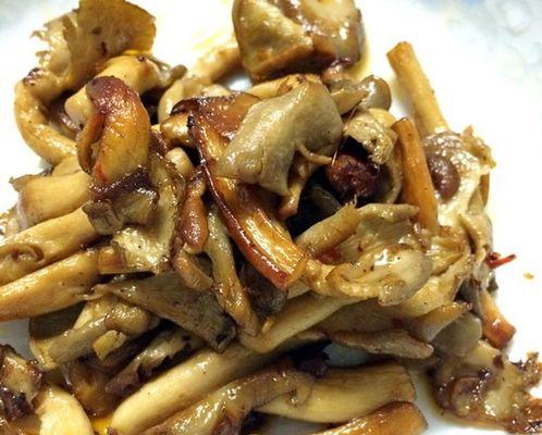 家庭美食｜香辣平菇的做法（辣味十足，口感丰富的平菇佳肴，做法简单易学）
