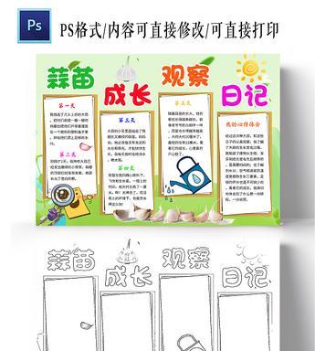 塑料豆油桶栽蒜苗，环保又省钱（节约空间，享受自种蒜苗的乐趣）