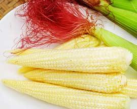 蔬食玉米笋佐——健康美味的素食佳肴（用新鲜玉米笋搭配多种蔬菜，为味蕾带来一场盛宴）
