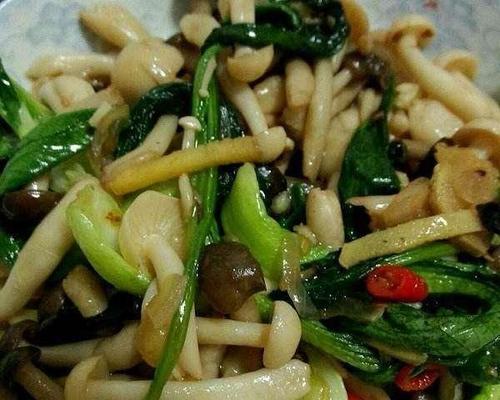 香菇肉片炒油菜的做法（美味可口，营养丰富，健康易做）