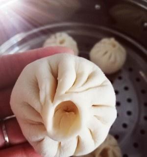 鲜嫩多汁的肉包子制作秘籍（学会制作口感极佳的肉包子，让你的味蕾欲罢不能）