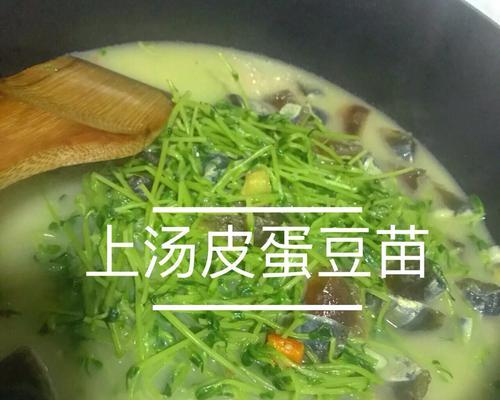 枝竹银杏浸豆苗的制作方法（用新鲜的枝竹银杏提升豆苗的口感）