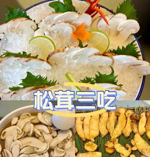 美食家必学！香煎松茸菌做法全解密（传授你如何轻松煎出鲜香可口的松茸菌，瞬间提升你的厨艺水平）