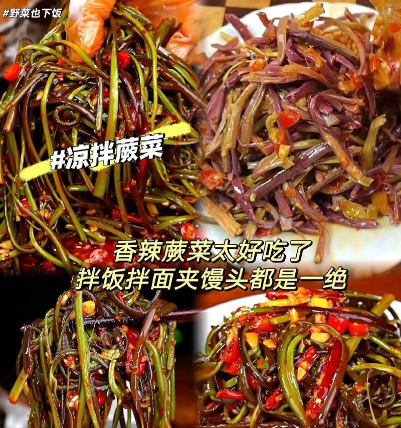 想念家乡味道，试做香辣蕨菜（传统美食，辣爽可口；蕨菜的多种做法）