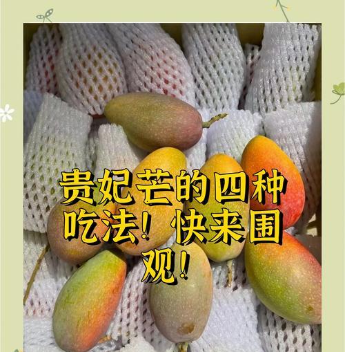 贵妃芒的选购和制作方法详解（贵妃芒的选购和制作方法详解）