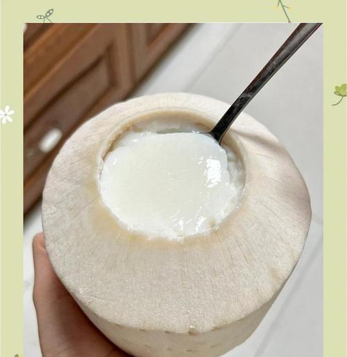 爽口清凉青瓜椰奶饮品的制作方法（健康美味营养丰富的夏日饮品）