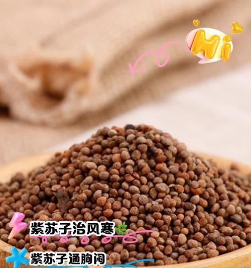 紫苏炒菜花，味道清新爽口，健康美味两不误（如何用紫苏炒出一道健康美味的菜花？）