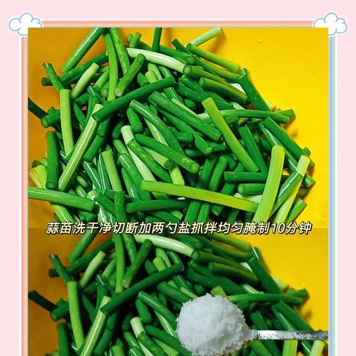 炒大蒜炒蒜苗的做法（享受健康美食的烹饪技巧）