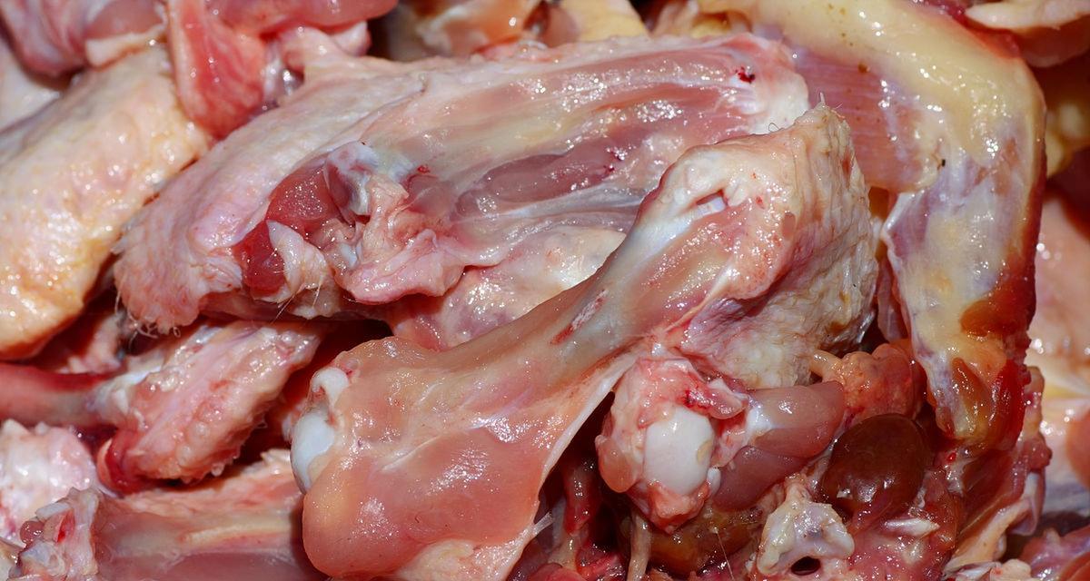美味佳肴，三椒兔肉的制作方法（轻松学会制作，美味健康享不停）