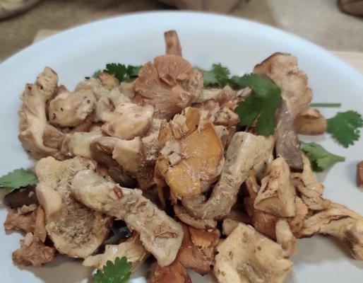 鲜美炒杂菌，饕餮之选（以野生杂菌为主的菜肴做法，独具匠心）